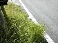 恒例の火曜日