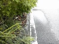 恒例の火曜日