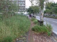 通学路整備隊（本日結成）