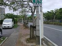 通学路整備隊（本日結成）