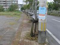 通学路整備隊（本日結成）