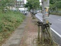 通学路整備隊（本日結成）