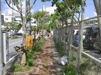 千葉からの助っ人
