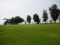茅ヶ崎、名古屋、大阪