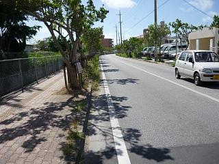 36回目