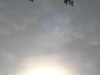 どこどこ
