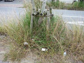 流行りもの