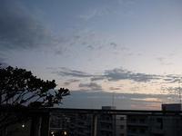 お月さまが見えた