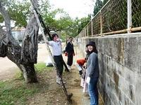 美化作業