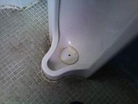 トイレ清掃に学ぶin普天間高校