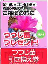 スペシャルDAY　予告編