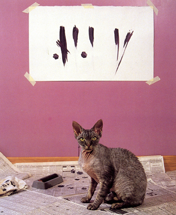 Cats Paint