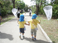 セミ取り 2011/07/14 09:49:02