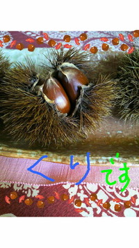 秋見つけました！