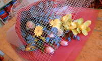 お祝い！！ 2009/03/14 16:45:13