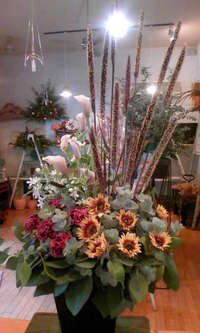 祝　オープン 2008/11/28 10:44:06