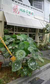 葉っぱ 2008/05/31 15:18:06
