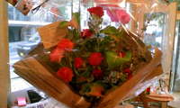 ダーツＢＡＲ！！ 2009/04/17 16:40:09