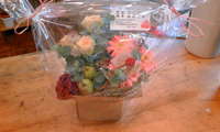 花 2008/11/23 11:37:19