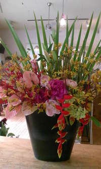 アレンジ！！ 2009/05/26 12:09:56