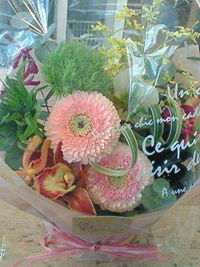 おもしろ花 2008/02/01 15:42:24
