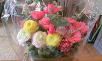 Ｈａｐｐｙ 2008/11/29 12:45:27
