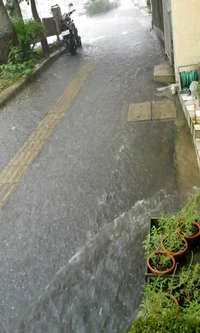キョエ～！！ 2008/10/10 12:28:35