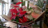 祝　開所 2009/05/21 11:59:38