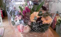Ｈａｐｐｙ 2009/01/15 13:52:02
