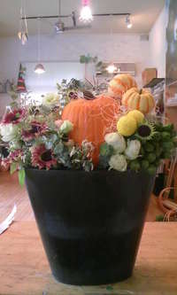 ハロウィン 2008/10/01 15:23:43