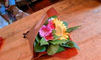 花 2008/10/20 12:01:48