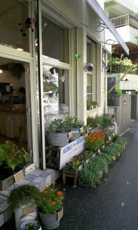 鉢物！！ 2008/10/21 13:05:01