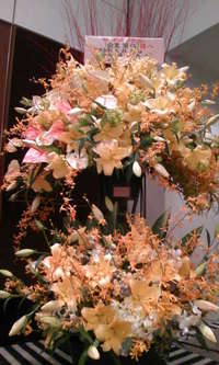 ハーバービューへ 2008/12/22 17:12:54