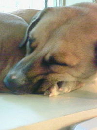ＺＺＺ 2008/04/28 15:57:39