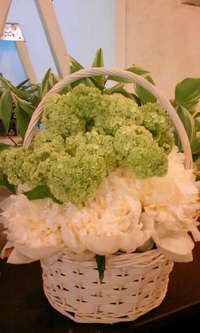 講演会！！ 2009/05/17 13:58:56