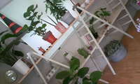 完成！！ 2008/06/17 12:17:18