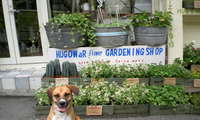 完成＼（＾＾）／ 2008/07/16 12:40:08