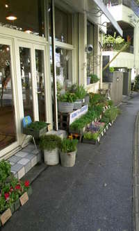 新！入荷 2008/09/19 16:04:07