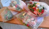 花束 2008/09/24 17:38:11