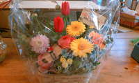 ＨａｐｐｙＢｉｒｔｈｄｅｙ 2009/03/07 14:17:23