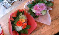 これから！！ 2009/04/15 15:44:18