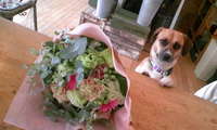 花束～ 2009/05/20 15:29:01