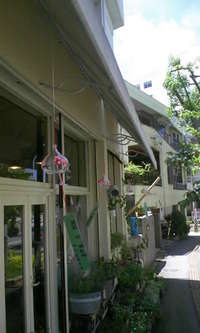 涼しげ～！！ 2008/06/20 14:45:36