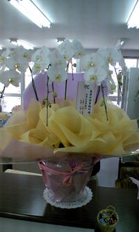 朝一！！ 2008/07/25 11:38:49