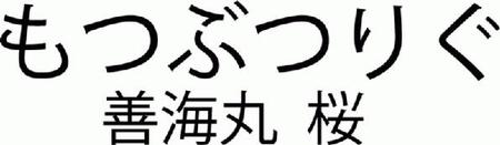 ☆烏賊人ぱーりー２０１５限定Ｔシャツ☆　バックデザイン　～　１