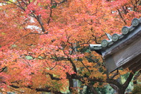 12月21日の記事 2017/12/21 00:21:50