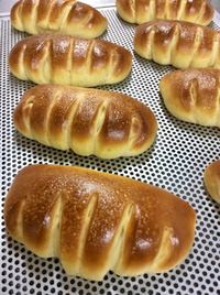 クリームパン 2020/02/06 12:51:19