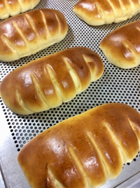 アローカナ卵のクリームパン 2020/01/23 14:05:21