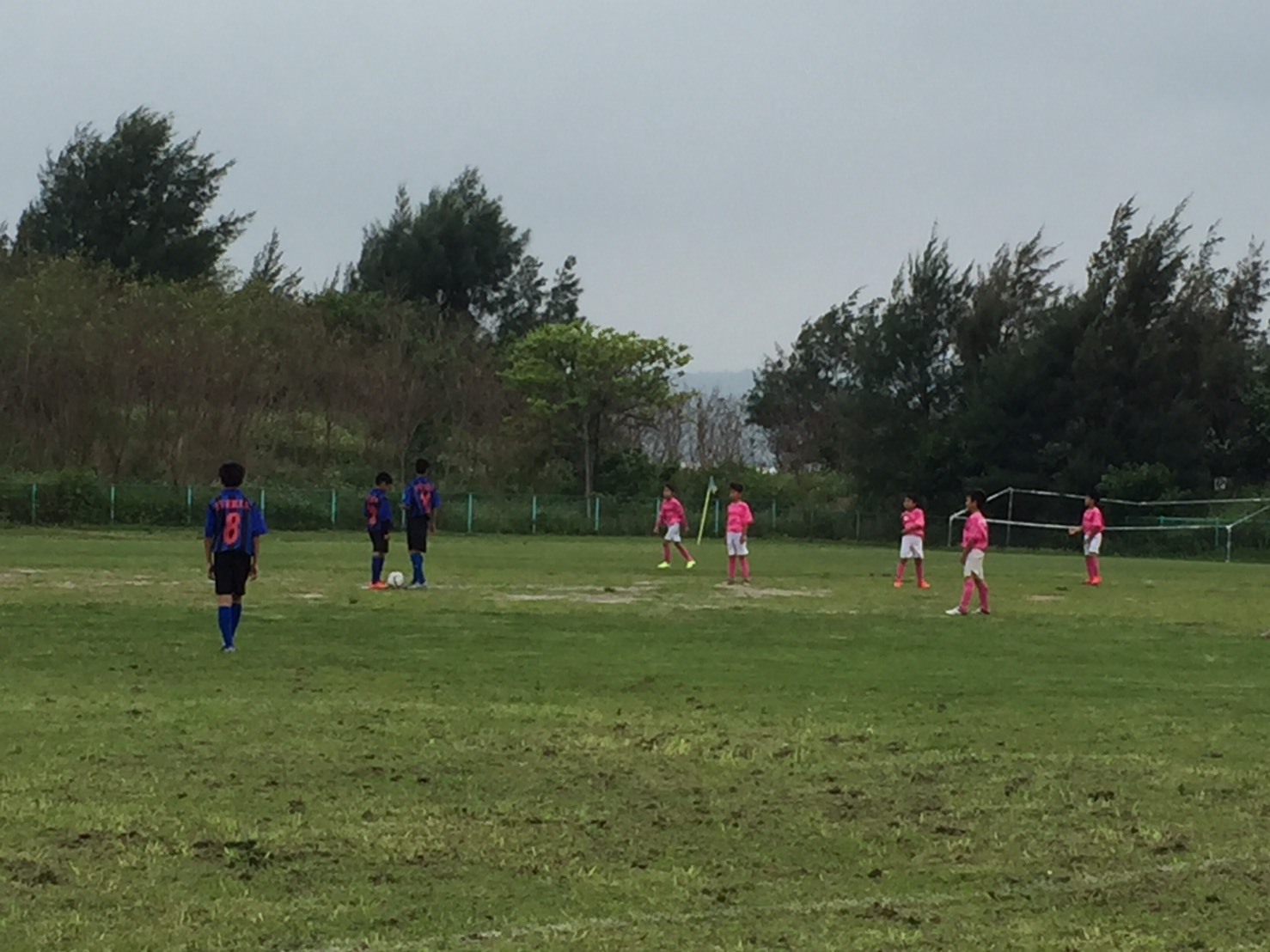 サッカー、陸上