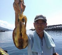 　♪♪  孫からもらったエギングロッドで初釣り　♪♪　 2024/09/14 15:40:59